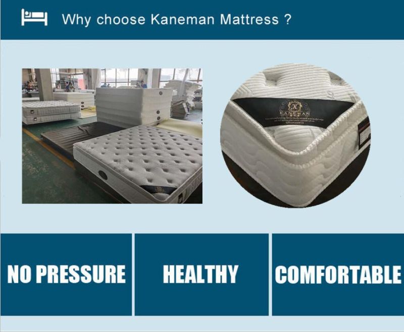 Wholesale Compressed Mattress Rolled Spring Mattress Bedroom Mattress