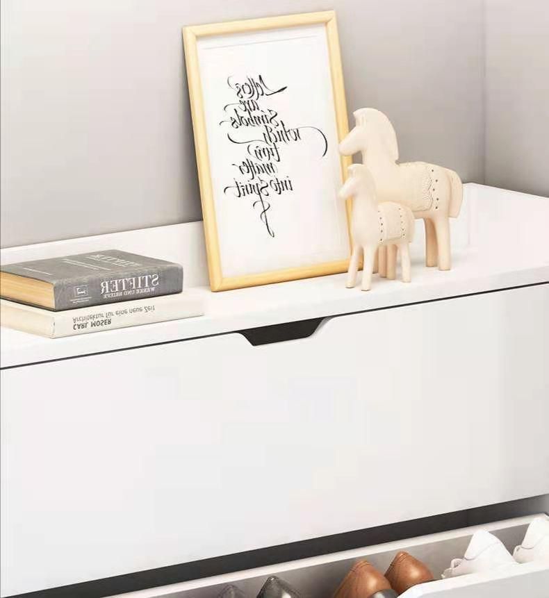 Good Quality Shoe Rack Shoe Cabinet Shoe Storage Cabinet for Living Room