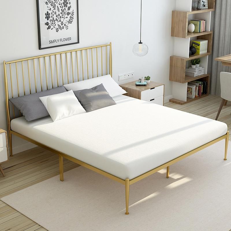 Hot Sales Metal Bed Nordic Simple Wrought Iron Bed Double Bed