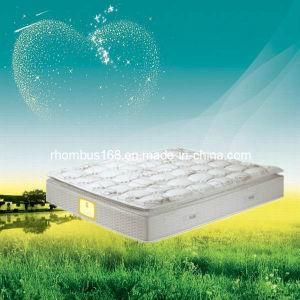 High Quality Memory Foam Pocket Coil Spring Mattress (RH040)