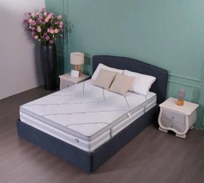 Suilong Classical Design Robin Series Euro-Top Pocket Spring Rolled Mattress with High Density Foam (SL2101)