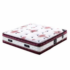 Hotel Hard 3e Coconut Palm Mattress for Sale