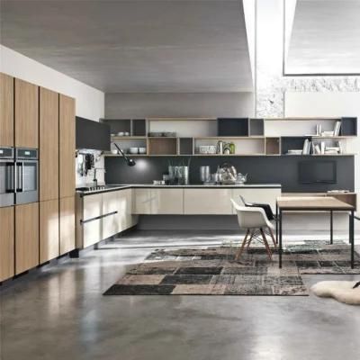 Modern Style Matte Lacquer Wood Colored Kitchen Cupboard