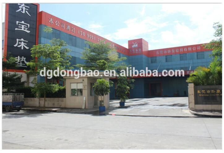Double Pillow Top Natural Latex Top Quality Mattress Made in China