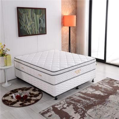 Latex Pocket Spring Euro Pillow Top Comfortable Foam Mattress