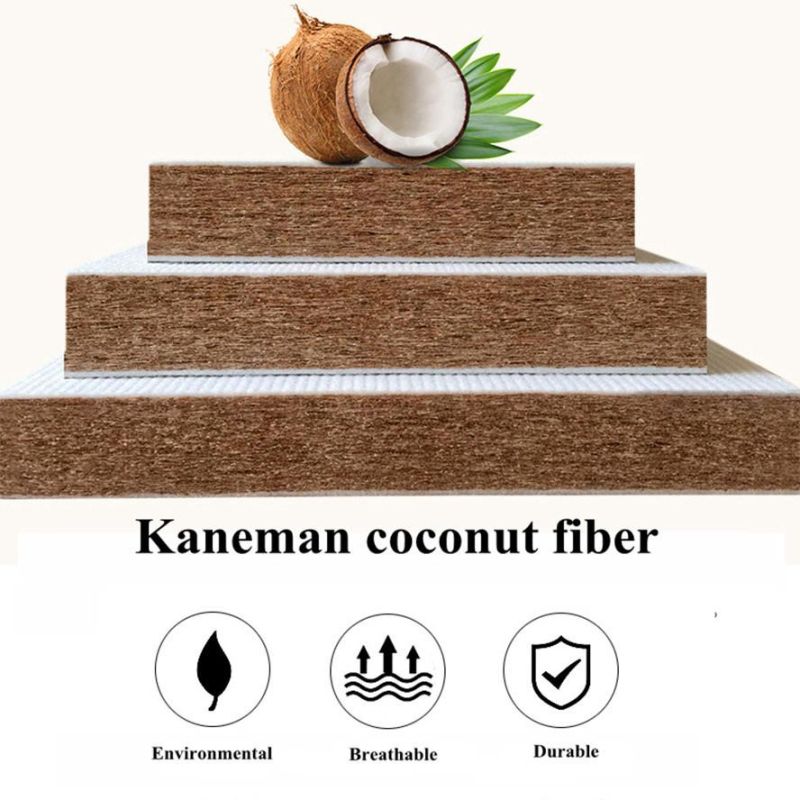 Luxury Designed China Supplier Coconut Fiber Foam Encased Bonnell Spring Mattress