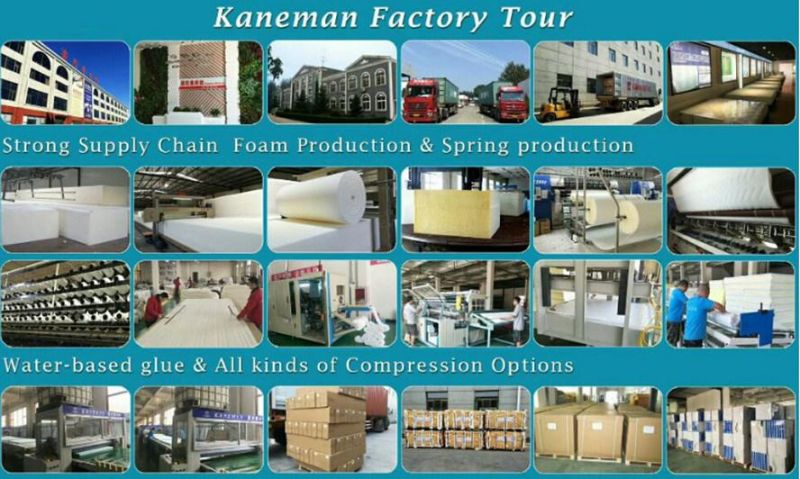 Spring Mattress King Bed Firm Memory Foam Mattress Factory Mattress Wholesale