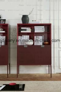 Modern Style Wood Cabinet Bookcase (SM-D49)
