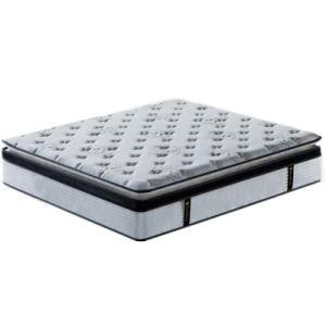 Latest Design Pocket Spring Mattress with Foam Encasement