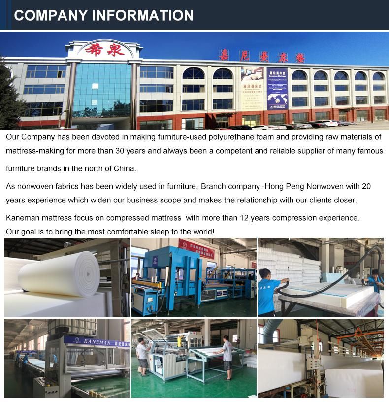 Chinese Manufacturer Wholesale Luxury 3 Zone Pocket Rolled up Spring Mattress