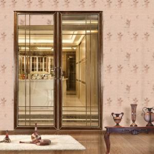 Fashionable Style Aluminium Profile Wardrobe Door V3150 Audemars Piguet (Hollow)