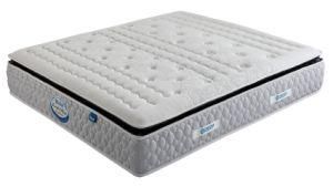 Foshan Queen 3 Zone Spring Mattress (WL203-1)