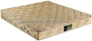 Durable Jacquard Fabric Latex Single Pillwo Top Mattress (WL127)