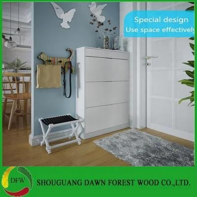 Modern Design Melamine Panel Wood Shoe Cabinet