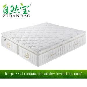 Height Adjustable Folding Thin Latex Spring Mattress (ZRB-801)