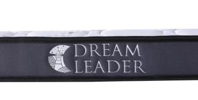 School Medium Dreamleader/OEM Compress and Roll in Carton Box Aveno Hospital Mattress