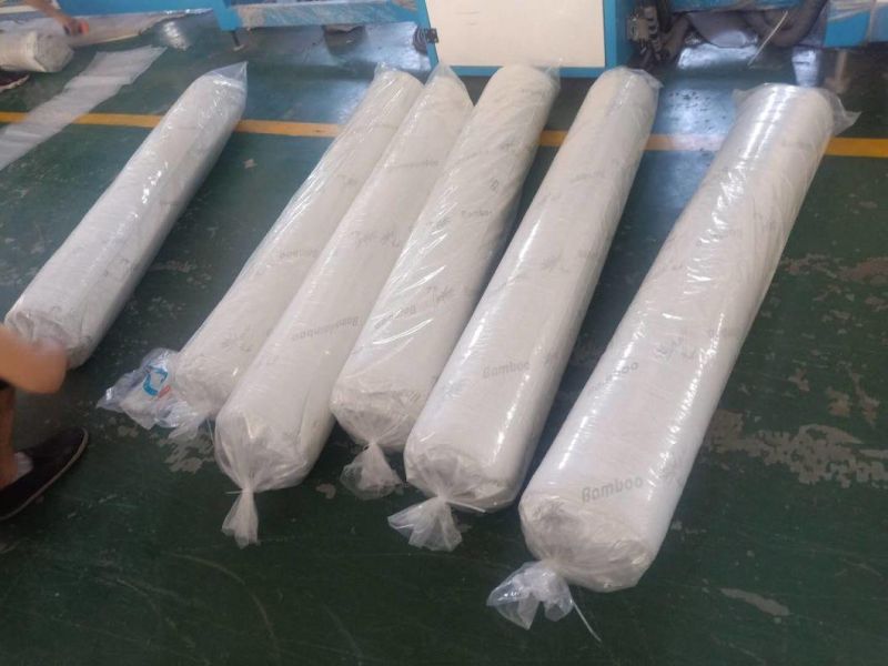 Cheap Price Promotion Vacuum Roll in Bag Foam Mattress