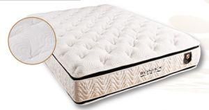 Mattress (HMM00101-PC)