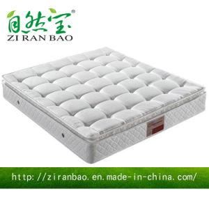Comfortable High Quality Compressed Pocket Spring Mattress (ZRB-303)