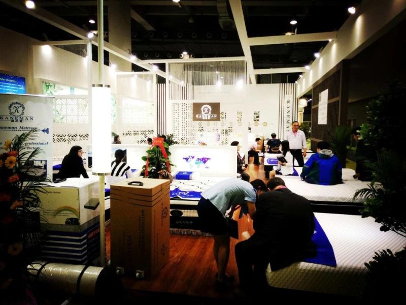 Kaneman Memory Foam Spring Mattress