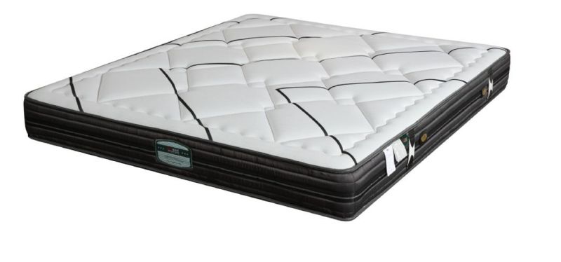 Latex Memory Foam Mattress Coils Pocket Spring Mattress