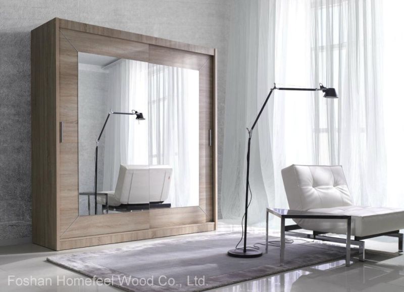 Modern Bedroom Mirror Wardrobe (HF-EY019)