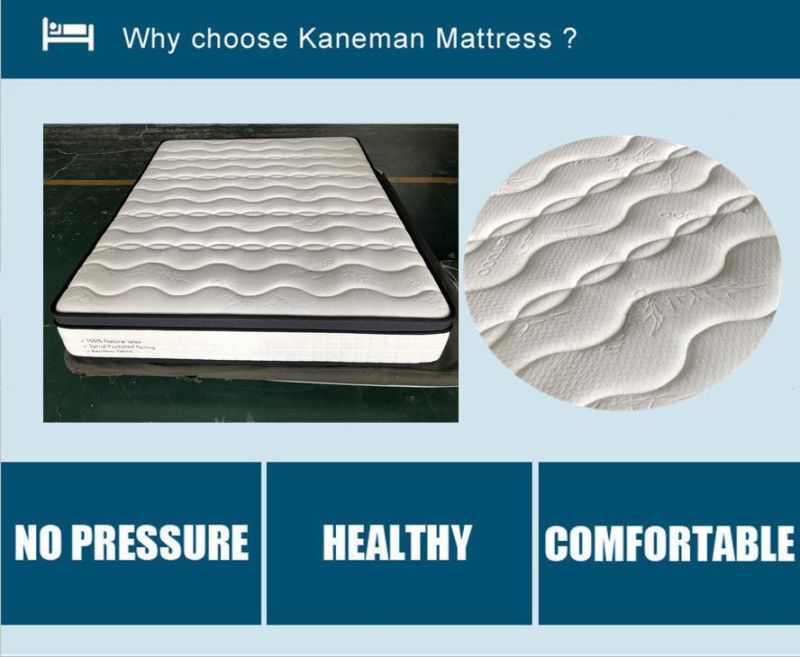 Online Mattress Coil Spring Mattress King Bedroom Mattress