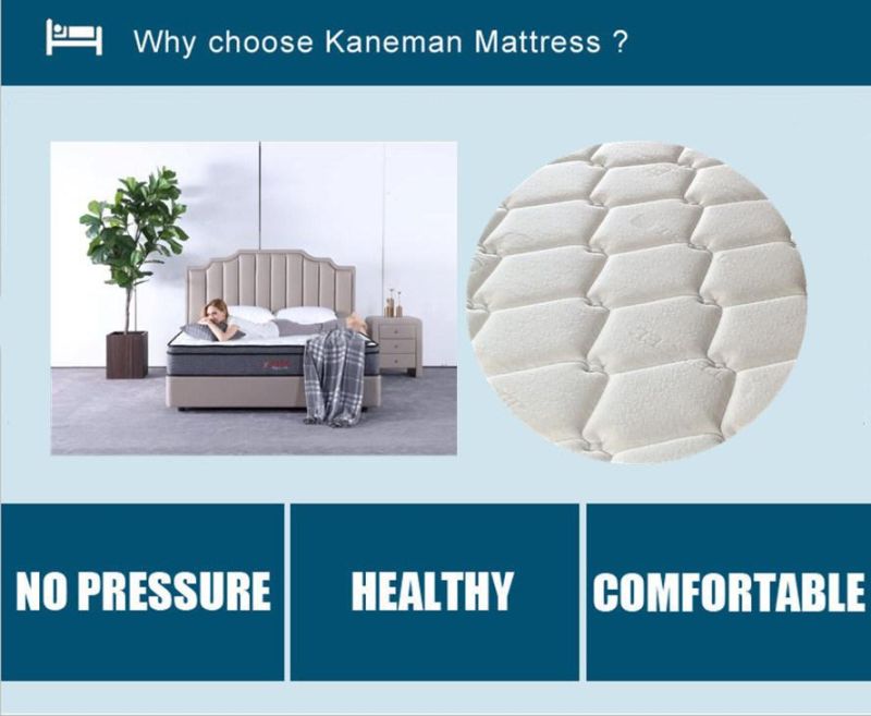 Zone Pocket Spring Mattress High Density Foam Mattress Rolled Bed Mattress