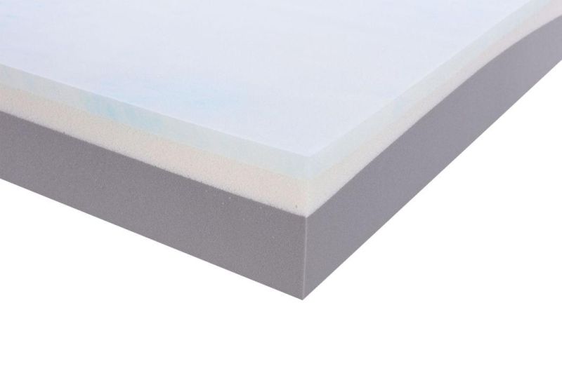 Home Hotel Dreamleader/OEM Compress and Roll in Carton Box Foam Mattress