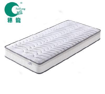 Student Department Furniture Tight Top Pocket Spring Mattress 2019