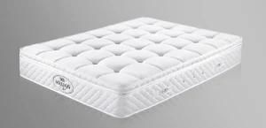 Spring Foam Pocket Economical Mattress