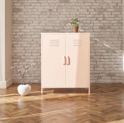Simple Design 2 Door Metal Lockers Cabinets Steel Storage File Clothes Locker