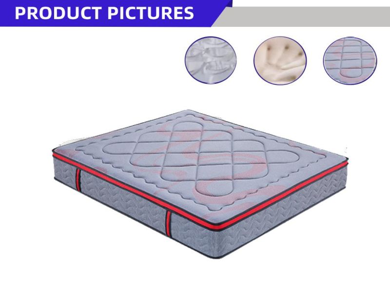 Pocket Spring Coil Memory Latex Foam Mattress Home Furniture