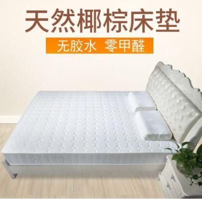 Invisible Bed Mattress Coconut Palm Sponge Spring Mattress Furniture Accessories