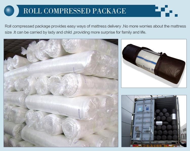 Foam Roll up Mattress Pad
