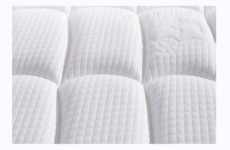 Furnirture Memory Foam Latex Pocket Spring Bread Pocket Spring Mattress