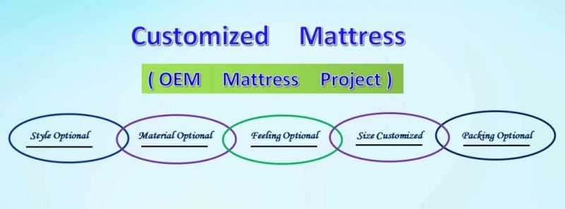 Merdon Furniture Pillow Top Spring Mattress with Latex and Memory Foam for Hotel and Home Bed Room King Bed