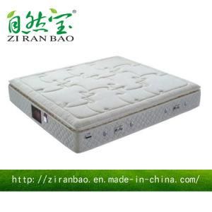 Eurotop Natural Latex Single Spring Mattress with Pocket Coil Spring