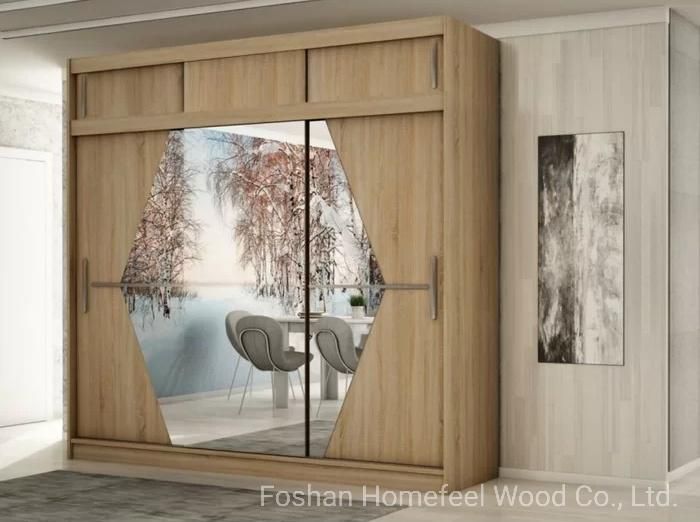 China Wholesale Modern European Design Custom Sliding Mirror Door Wardrobe (HF-WB30)