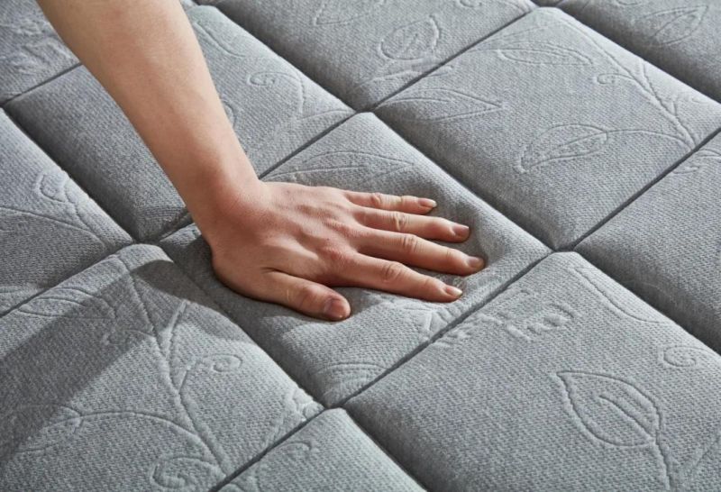 Economic Vacuum Double Size Packed Spring Hot Sell Latex Mattress