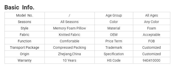Popular New Style Design Foam Pillow for Home School Hotel