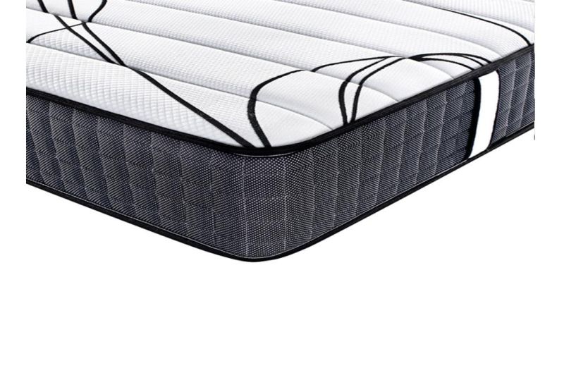 Queen Anti Mold Mattress and Box Spring Set Mattress