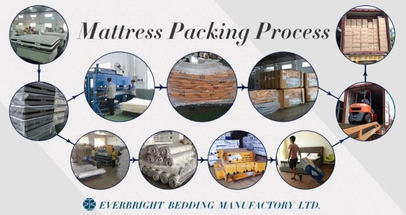 Easy to Transport Good Sleep Comfortable High Grade Hotel Super Soft Independent Spring Spring Mattresses Eb15-05