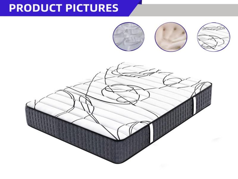 Queen Anti Mold Mattress and Box Spring Set Mattress