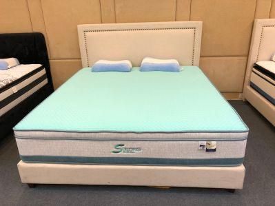 Eco-Friendly Nature Fresh Green Euro-Top Pocket Spring Latex Mattress