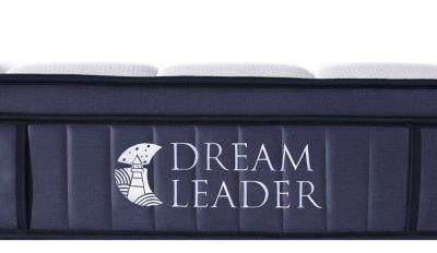 School Hotel Dreamleader/OEM Compress and Roll in Carton Box Backcare New Mattress