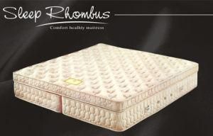 2013 New Folding Mattress (FL-081)