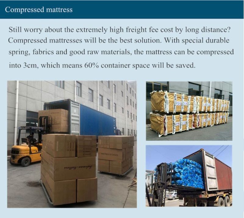 Foam Block with Different Density Different Color Can Be Roll Packing