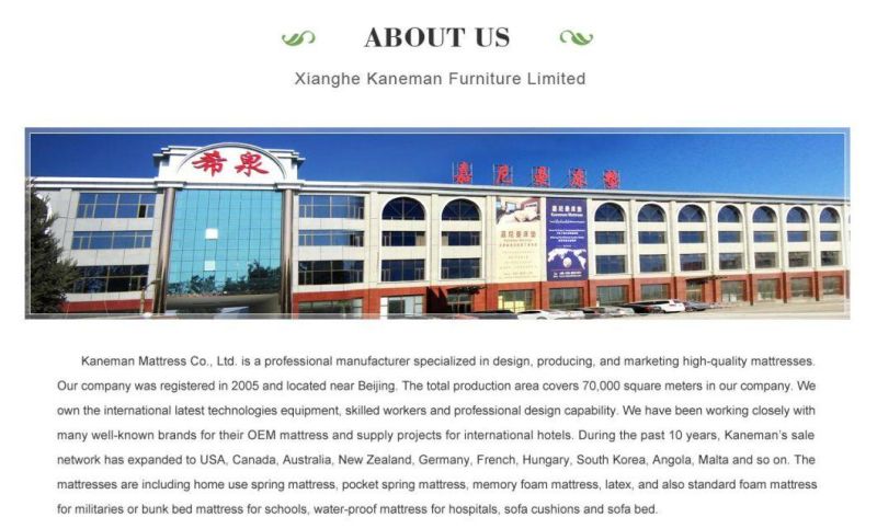 High End Zone Pocket Spring Mattress Flat in Pallet Factory Directly Supply