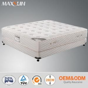 Luxury Compressed Mattress (MS-glasgow)